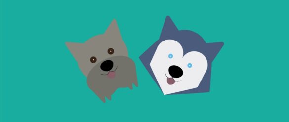 Portada - Terapia Asistida con animales - NeuroClass