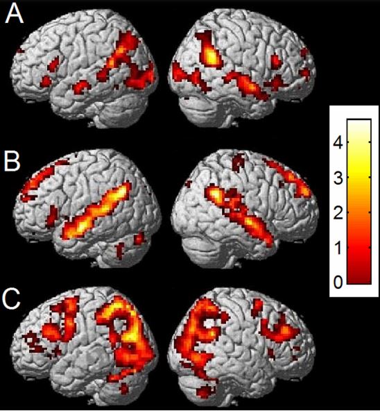 Mecánica cerebral - ajedrez - NeuroClass