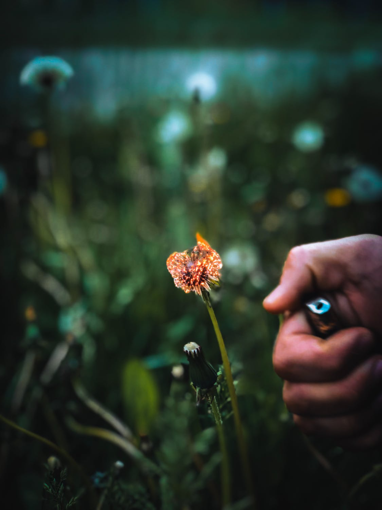 Piromanía: Un impulso por el fuego