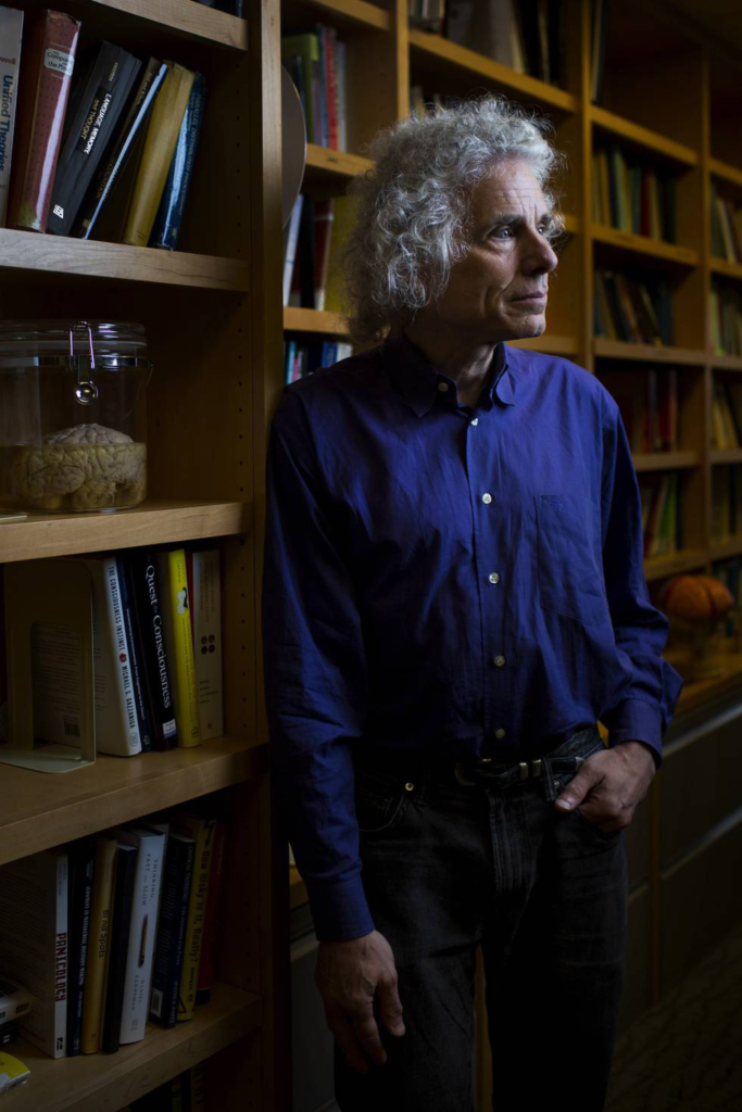 steven pinker y lenguaje