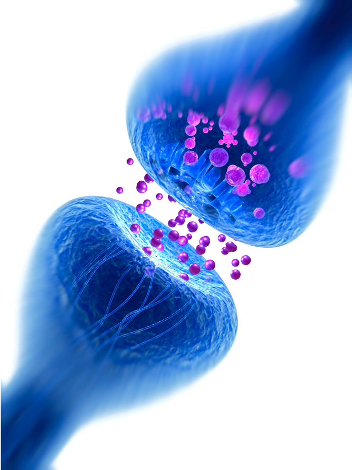 Serotonina y depresión