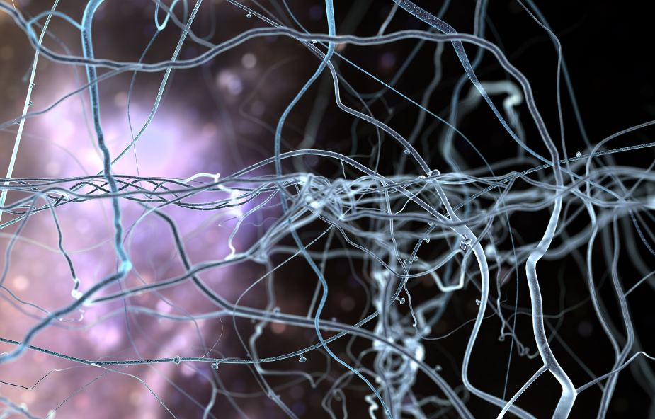 Serotonina y depresión