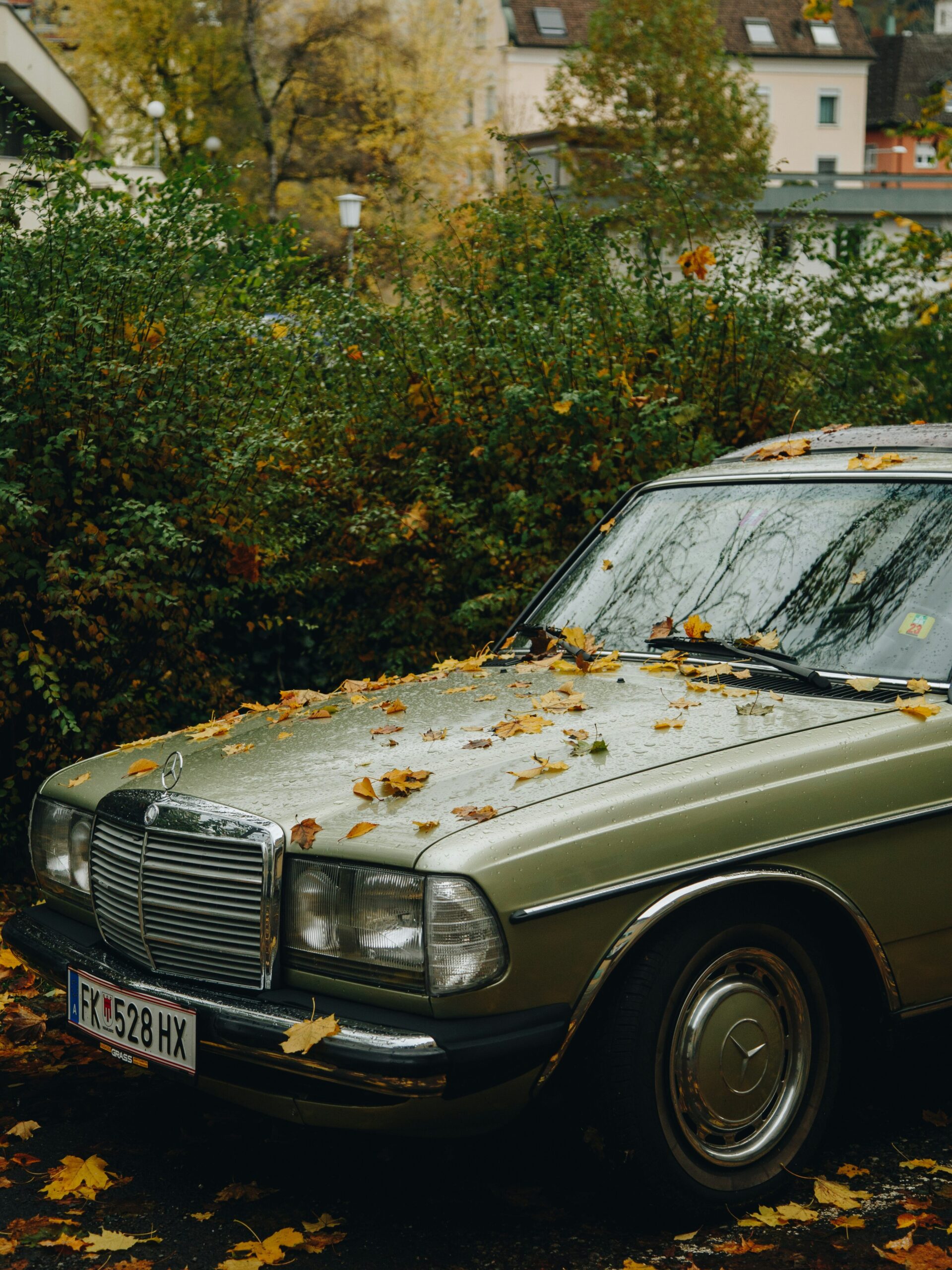 amaxofobia y miedo a conducir