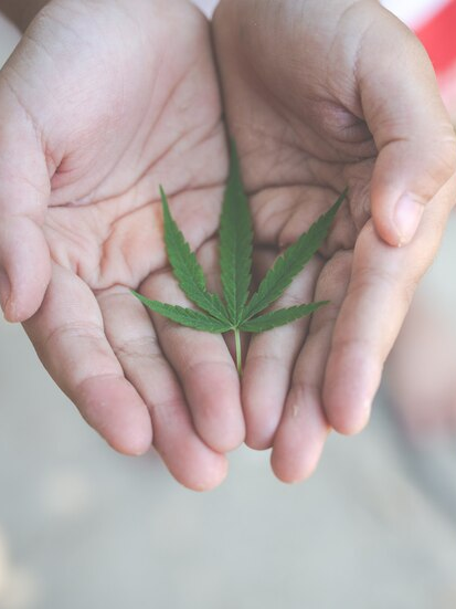 trastorno psicológico cannabis psicosis