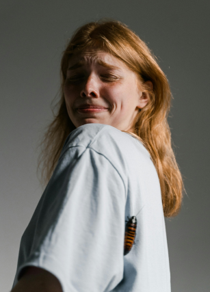 Respuesta de congelación