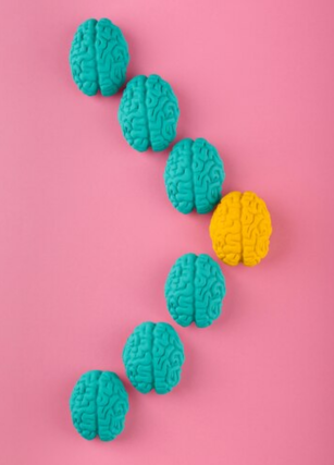 Envejecimiento cerebral