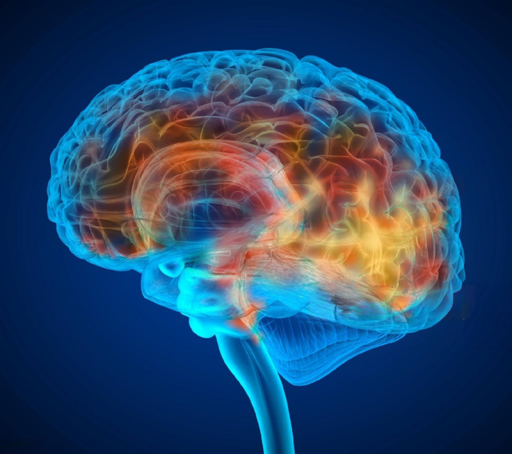 Qué son las áreas de asociación